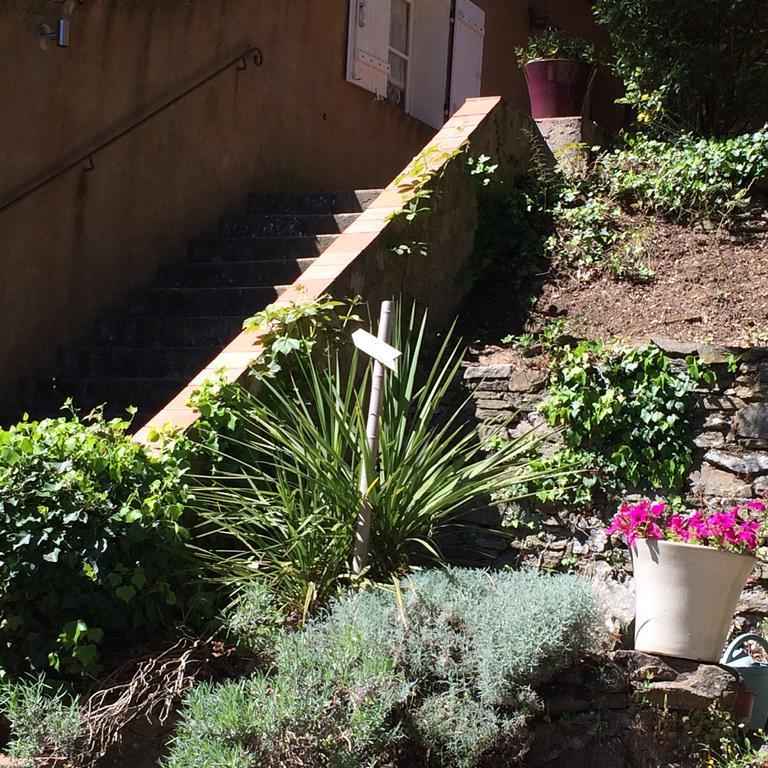 B&B Lei Bancaou La Garde-Freinet Exteriör bild
